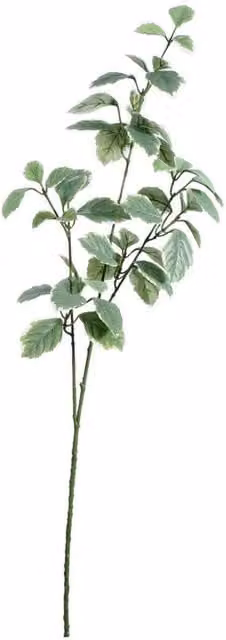 KDMD Light Green Euonymus Leaves Spray, Height: 91 cm