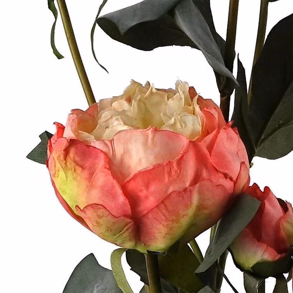 Leaf Pink Peony Artificial Flower Stems, 6 Pack, Height: 55 cm – 5