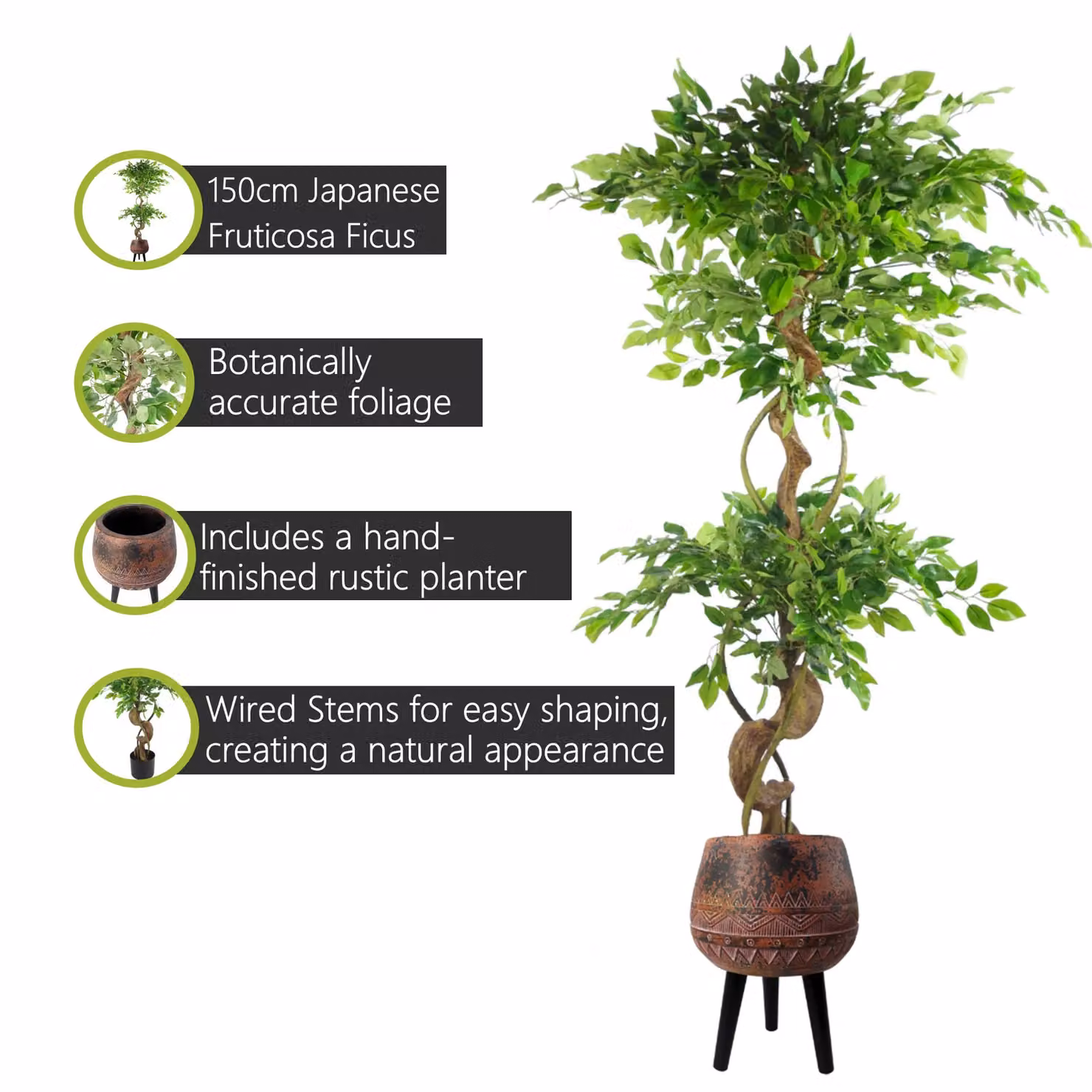 Pegdev 150cm Artificial Japanese Fruticosa Ficus Tree with Twisted Trunk and Planter in Green – 2