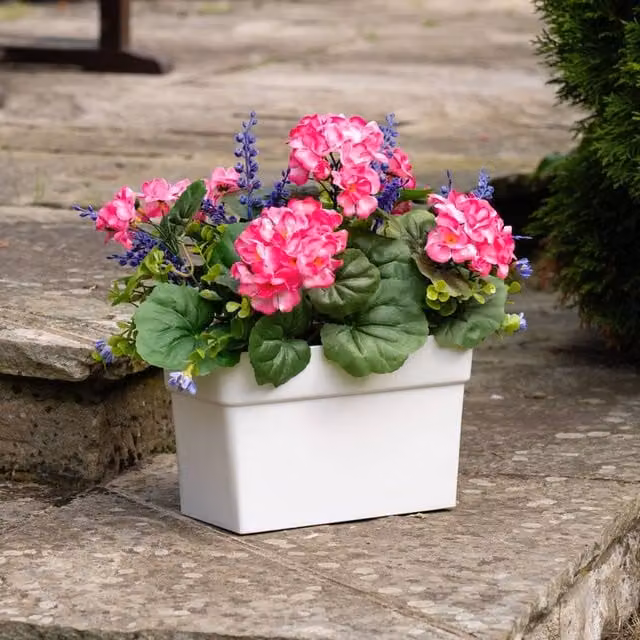 Scottish Everlastings Ltd Pink Geranium in a White Rectangular Tabletop Trough