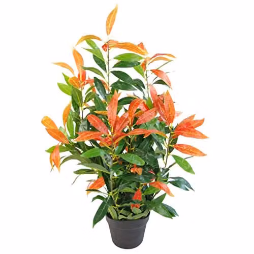 Leaf Artificial Potted Ficus Tree in Red, Green and Black, Height: 80 cm