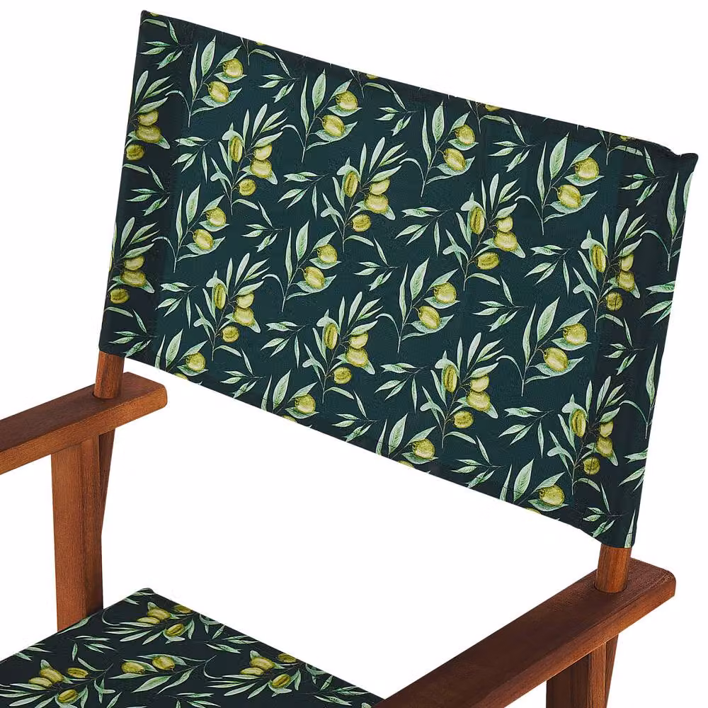 Wyld and Coco Heritage Garden Director's Chairs Set of 2, Green and White Acacia Wood and Metal Folding Chairs – 4