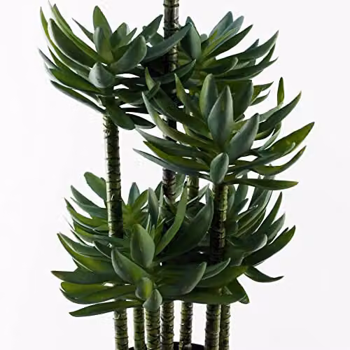 Leaf Design UK Artificial Tropical Yucca Plant in Black Planter, Green, Height: 60 cm – 3