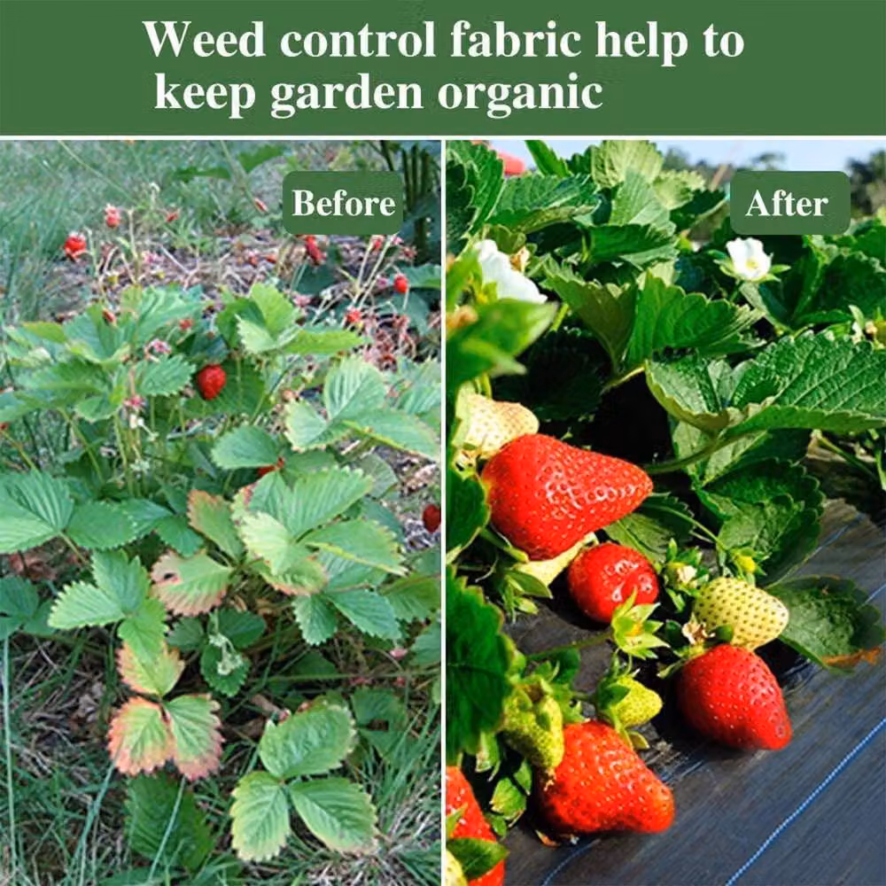 Dprodo Black Weed Barrier Landscape Fabric, 1kg – 4