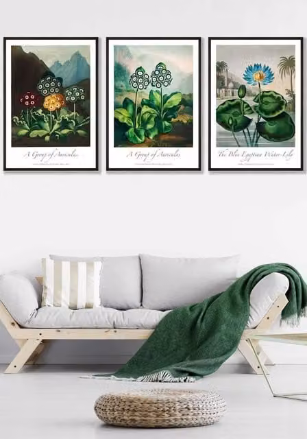ARTZE Vintage Auricula & Lily Flowers Floral Framed Wall Art in Black and Multicolour, W: 53 cm, H: 73 cm, D: 2 cm