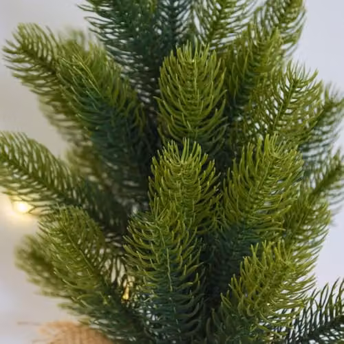 Thompson & Morgan Nigita Green Ornamental Christmas Tree, Height: 45 cm – 2