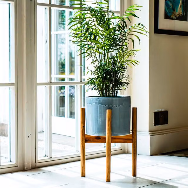 Ivyline Anzio Warm Grey Ceramic Planter with Wooden Stand, H38.5 x D24 cm