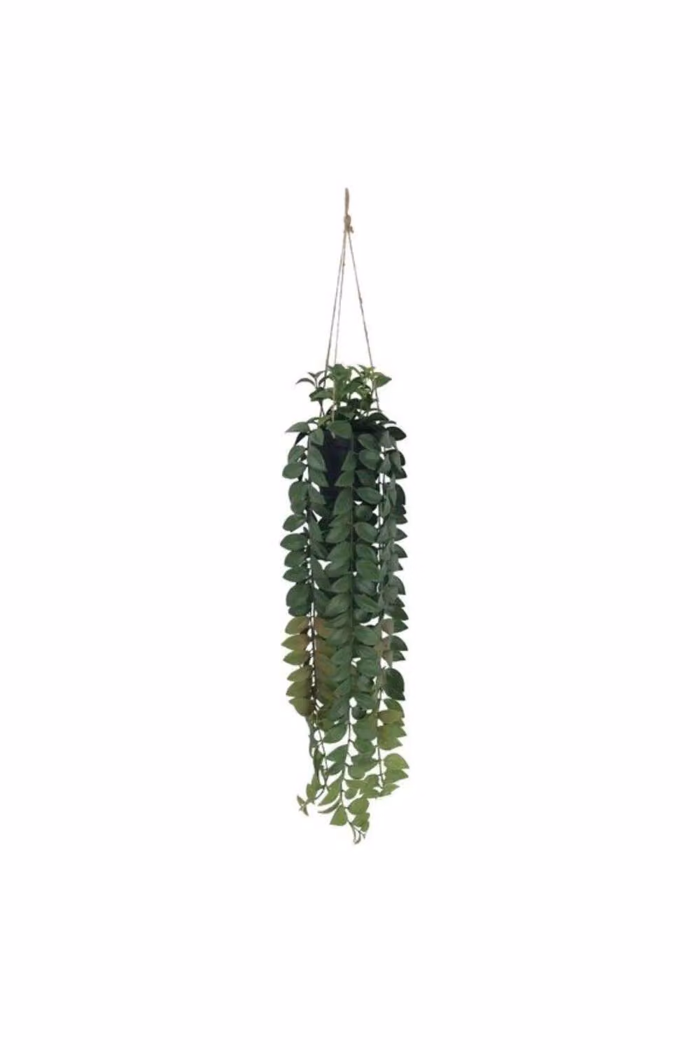 KDMD Botanica Green Artificial Hanging Plant, Height: 82 cm – 2