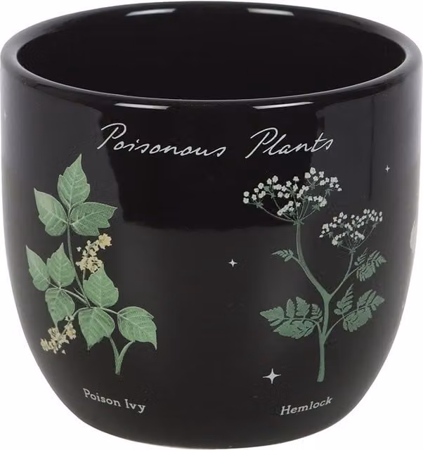 Something Different Poisonous Plants Ceramic Tabletop Plant Pot in Black, W/D/H: 12.5 x 12.0 x 12.5 cm