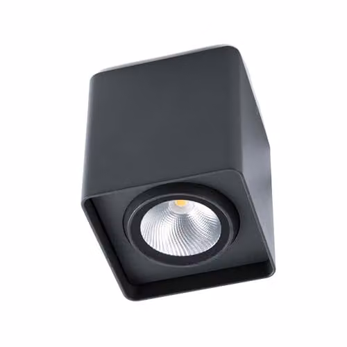 Netlighting Tami LED Outdoor Surface Mounted Ceiling Light in Dark Grey with Transparent Glass Diffuser, IP54 Rated