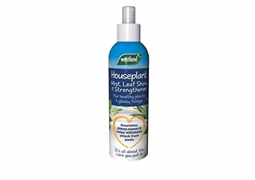 Westland Horticulture Houseplant Mist and Leaf Shine Plant Food, 250ml