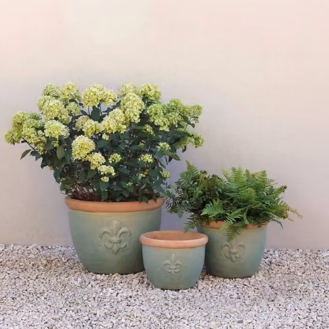 Primrose Fiore Fleur De Lys Patterned Ceramic Planter Tub in Green