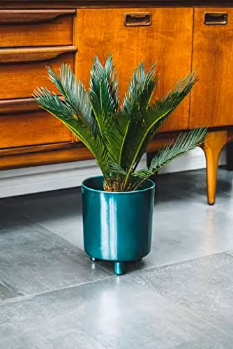 Ivyline Pisa Ceramic Planter in Green, H24 x D20 cm – 5