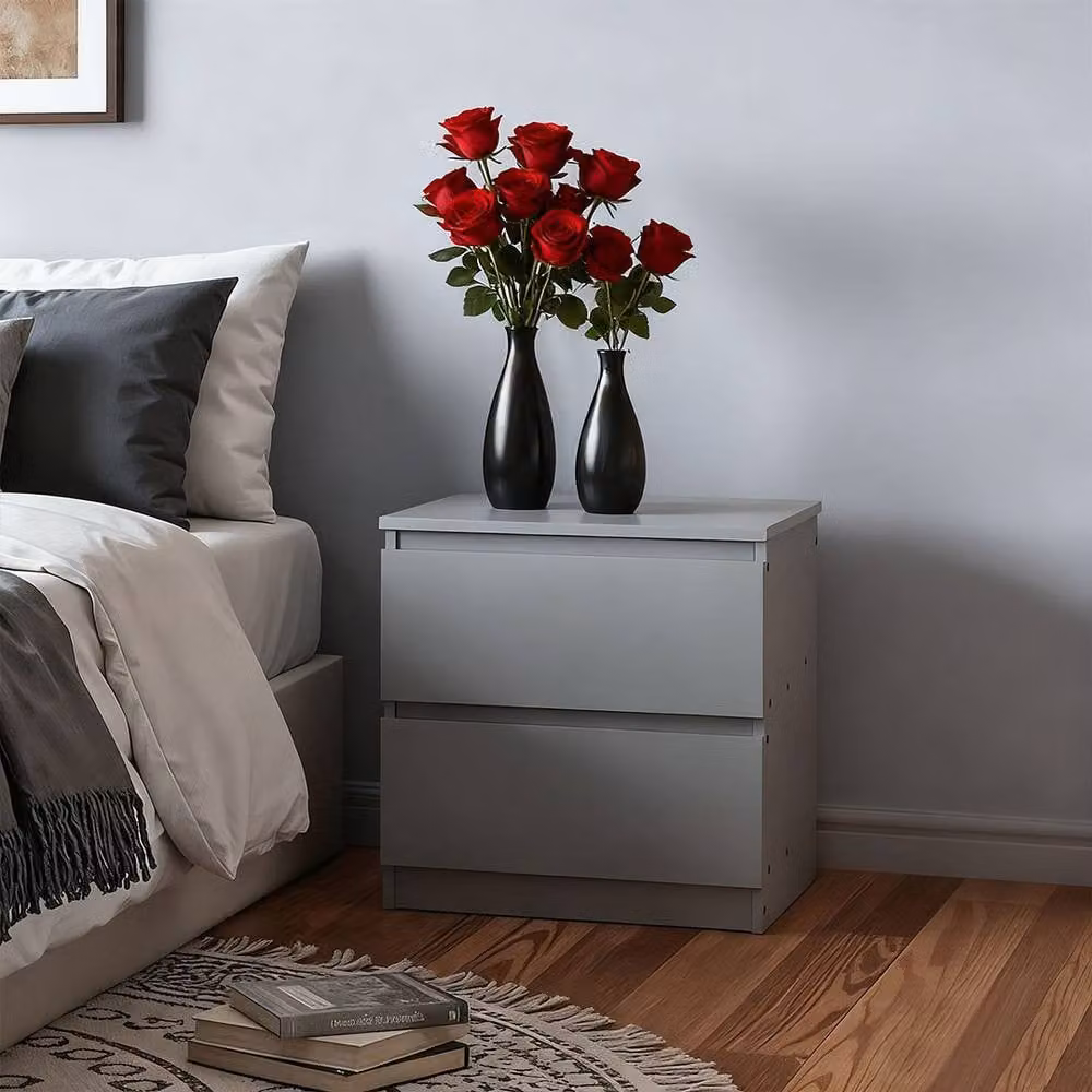 FORGEVIO Grey Wooden Bedside Table with 2 Drawers and Matt Finish – 3