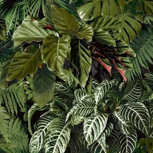 Grandeco Living Wall Tropical Fern Foliage Biophilic Textured Wallpaper, Green – 1