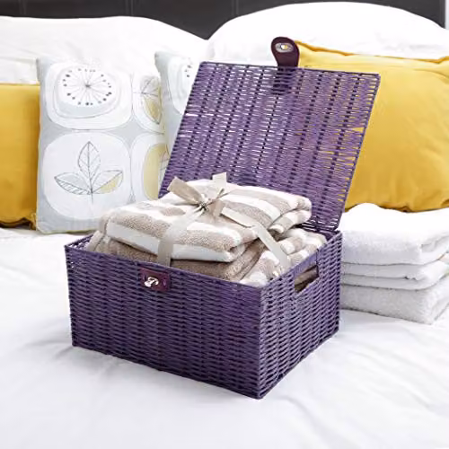 Arpan Large Resin Woven Storage Basket with Lid and Lock in Purple – 2