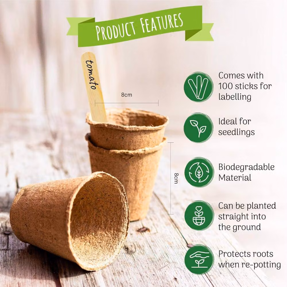 Green Thumbz 100 Pack Biodegradable Seedling Pots for Herbs and Flowers, Brown, 8cm – 2