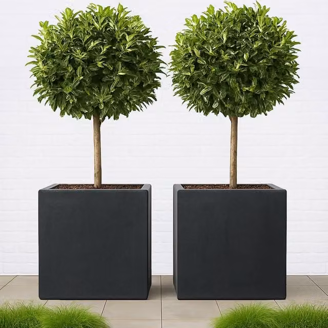 Idealist Set of 2 Square Stone Planters in Slate Grey, W: 40 cm x D: 40 cm x H: 40 cm