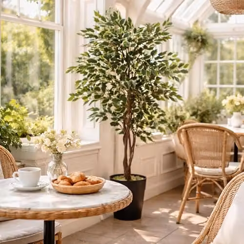 Leaf Realistic White Edge Ficus Artificial Tree in Green and White, Height: 130 cm – 2