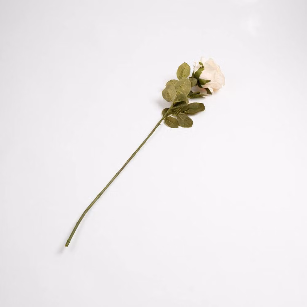 Scottish Everlastings Ltd Pack of 6 Cream Rose Stems, 70 cm