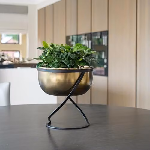 Ivyline Kensington Round Metal Planter on Stand, Gold, H30 x W28 x D28 cm