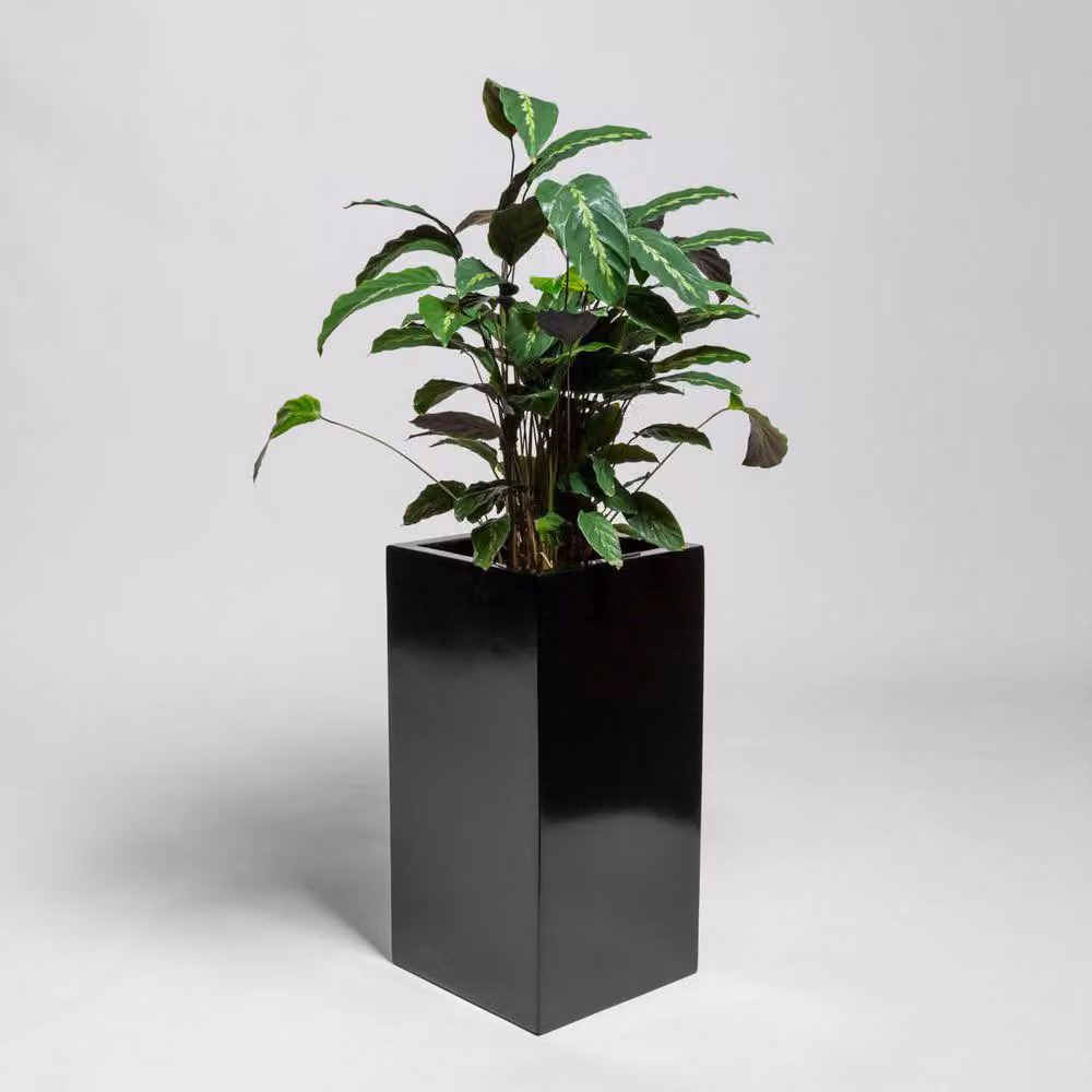 Primrose Black Polystone Cubic Planter Tub, H 60 cm x W 30 cm – 2