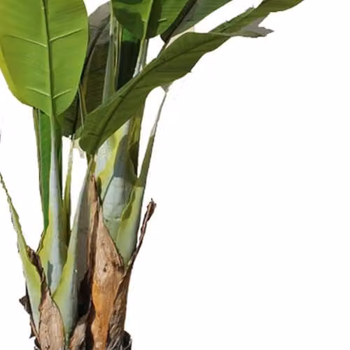 Leaf Design UK Green Artificial Tropical Tree – 3