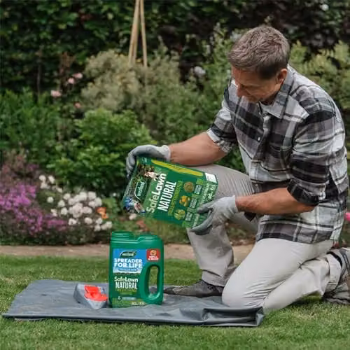 Westland Safelawn Organic Slow Release Lawn Feed for 80m2 – 2