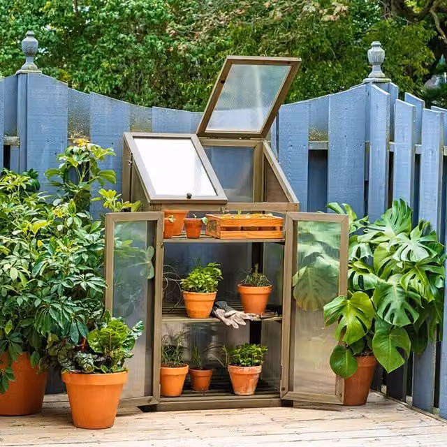 Neo Brown Wooden Growhouse with Polycarbonate Gable Roof for Flower and Vegetable Planting