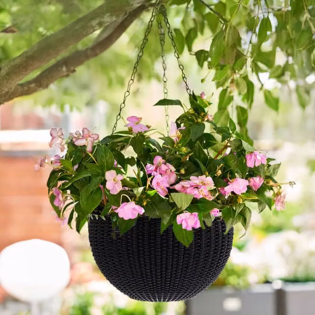Livingandhome Pack of 3 Black Plastic Hanging Flower Basket Planters