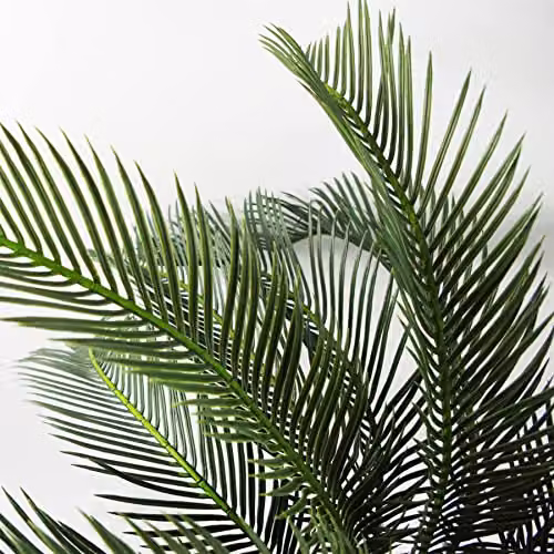 Leaf Design UK 80cm Artificial Tropical Cycas Palm Plant in Green and Black – 4