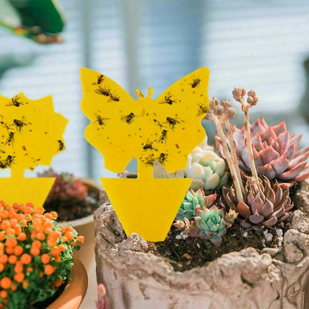 SPETLEK 41-Piece Yellow Sticky Fly Traps for Indoor Plants and Fruit Pest Control, W: 100 cm, D: 15 cm – 4