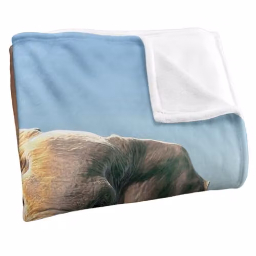 JQ Licensing Royce Mcclure Charging Elephant Super Soft Fleece Throw Blanket, Multicolour, W: 91 cm, D: 147 cm – 3
