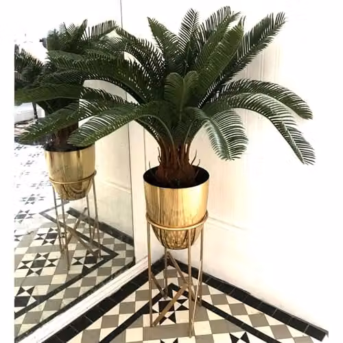 Botanik Green Potted Artificial Tropical Palm Plant, Height: 70 cm – 4