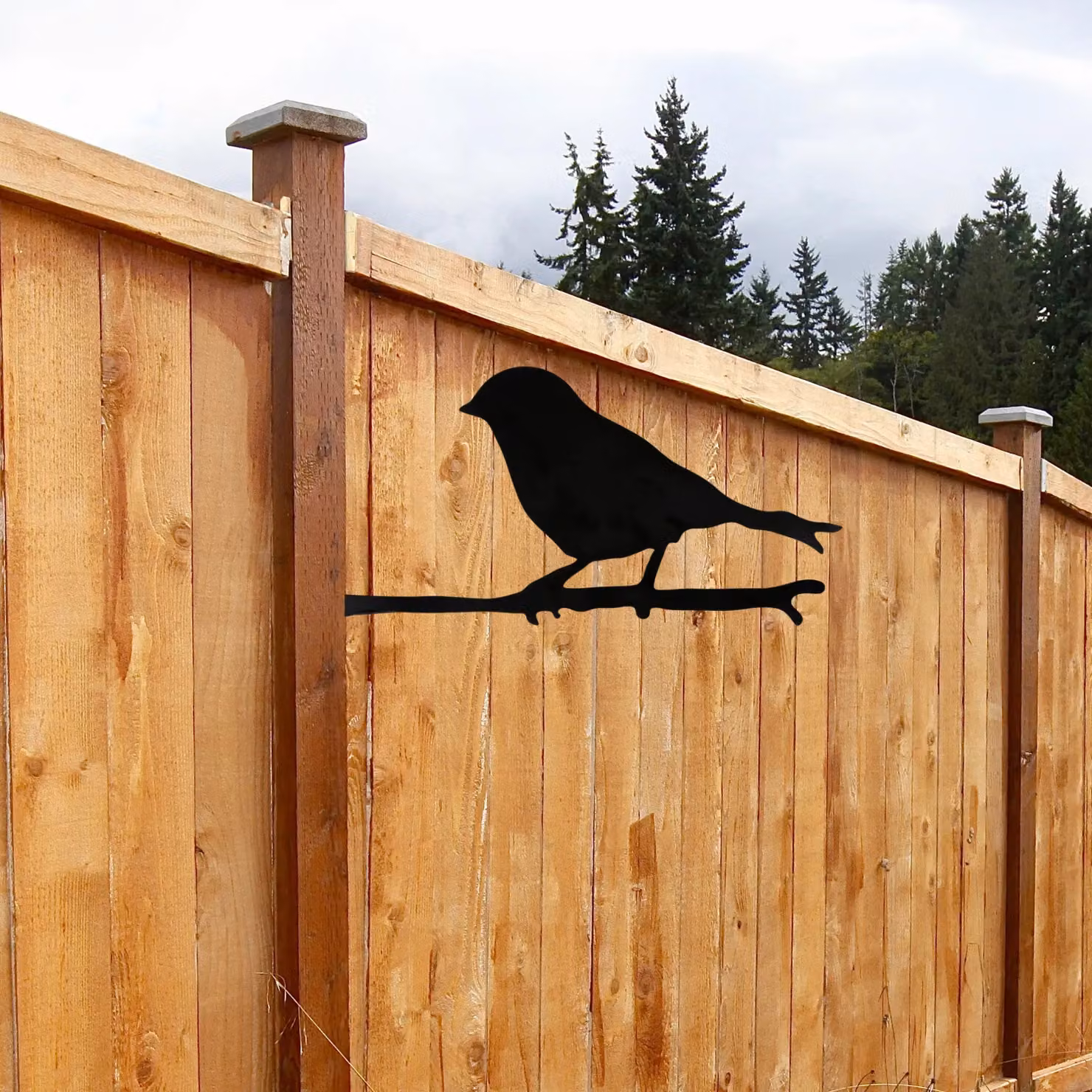 Marco Paul Black Metal Bird Silhouette Shooting Target – 10