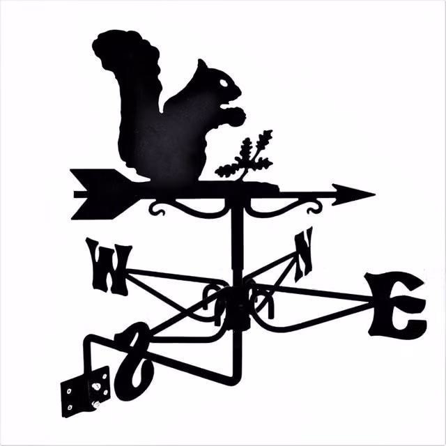Buttercup Farm Mini Squirrel Weathervane in Black Steel, W38 x D38 x H49 cm