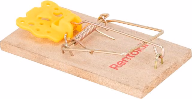 Rentokil Wooden Mouse Trap in Brown and Multicolour