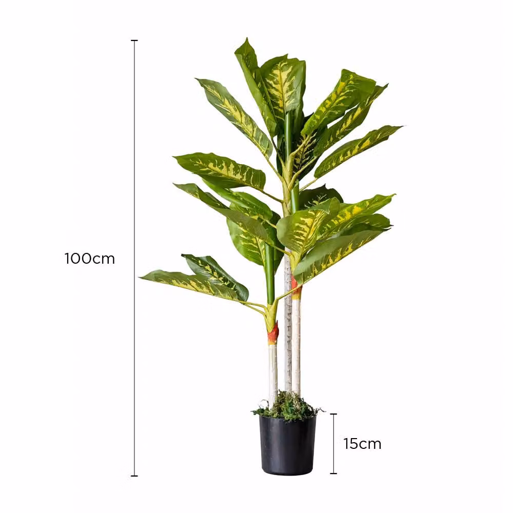 Voltico Artificial Dieffenbachia Tree in Pot, Green, Height: 100 cm – 5