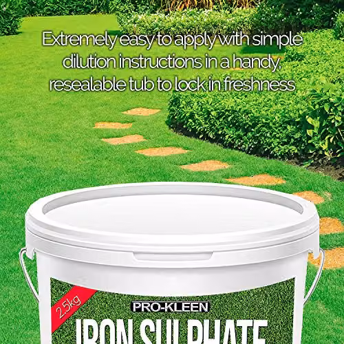 Pro-Kleen Premium Iron Sulphate Liquid Lawn Tonic and Plant Conditioner, 10 l – 5