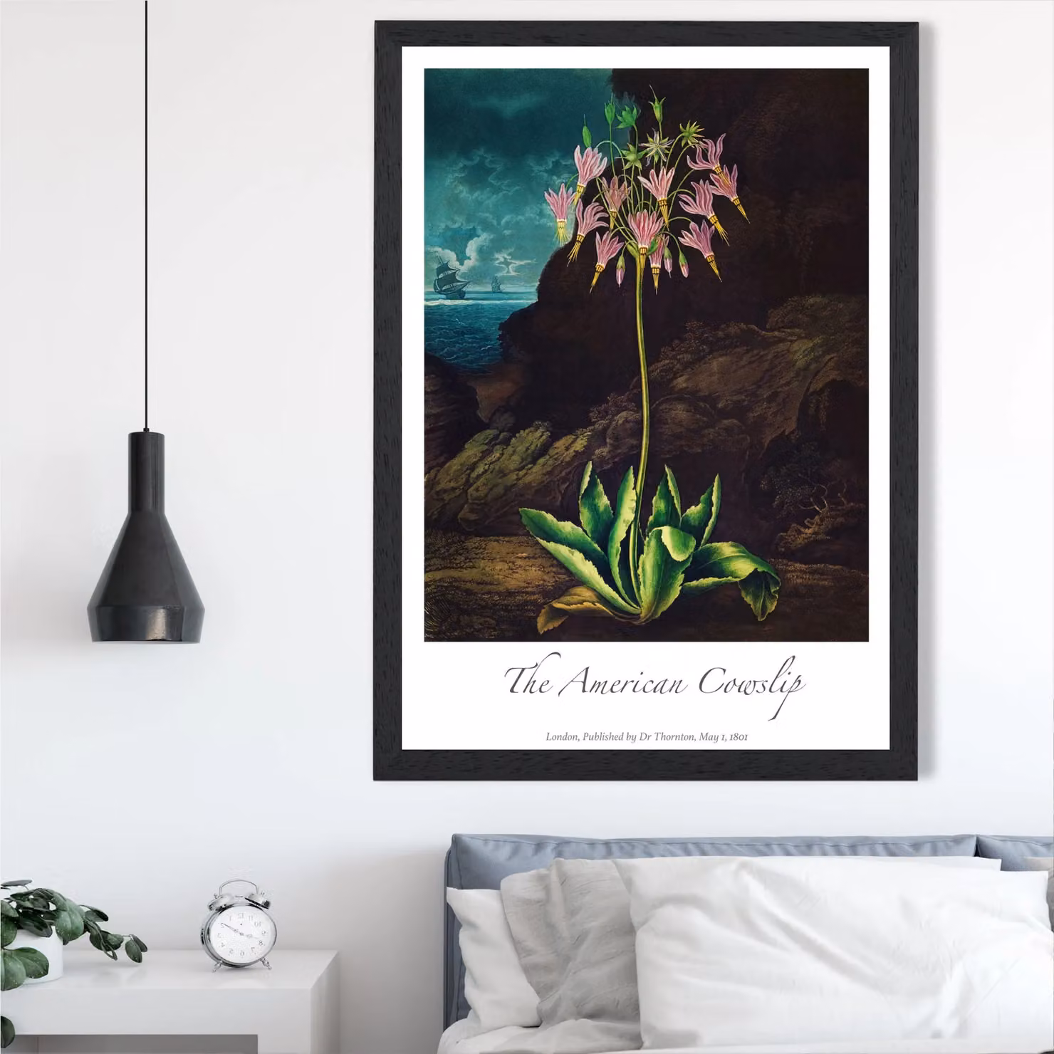 ARTZE Vintage Floral Cowslip Plant Framed Print, Pink and Multicolour, A3, Black Frame – 2