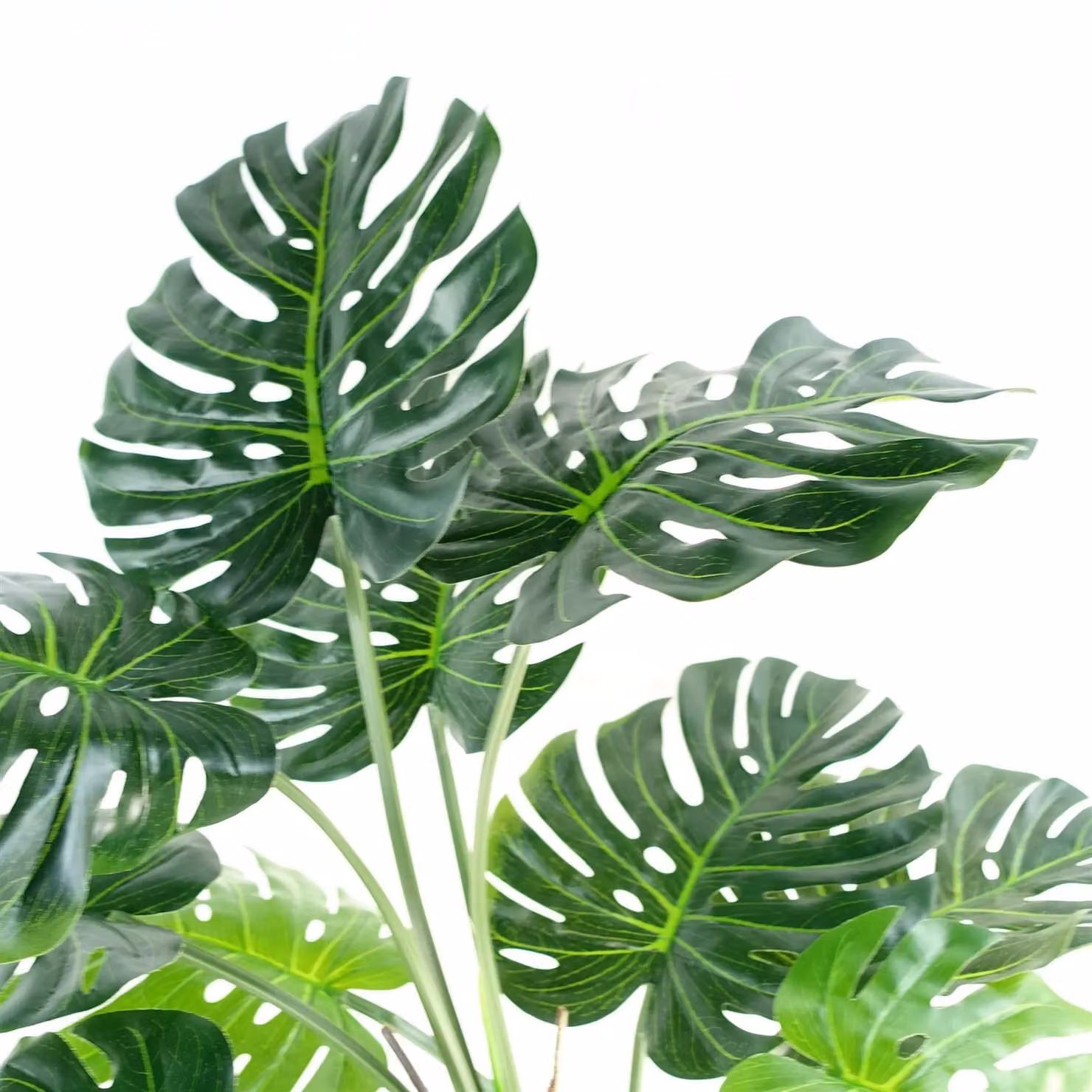 Leaf Luxury Monstera Artificial Plant in a Black Pot, Green, Height: 150 cm – 6