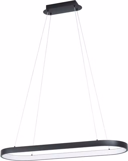 Loops LED Pendant Ceiling Light in Black and White with 30W Warm White Bulb Included