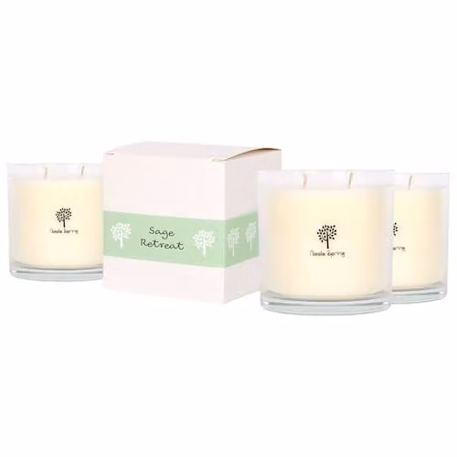 Nicola Spring Sage Retreat Soy Wax Scented Candles, Pack of 3, 400g Each