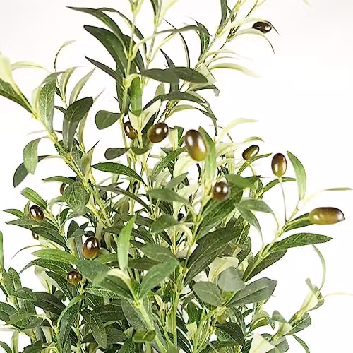 Leaf Design UK 160cm Artificial Green Olive Tree with 72 Olives in a Black Plastic Pot – 3