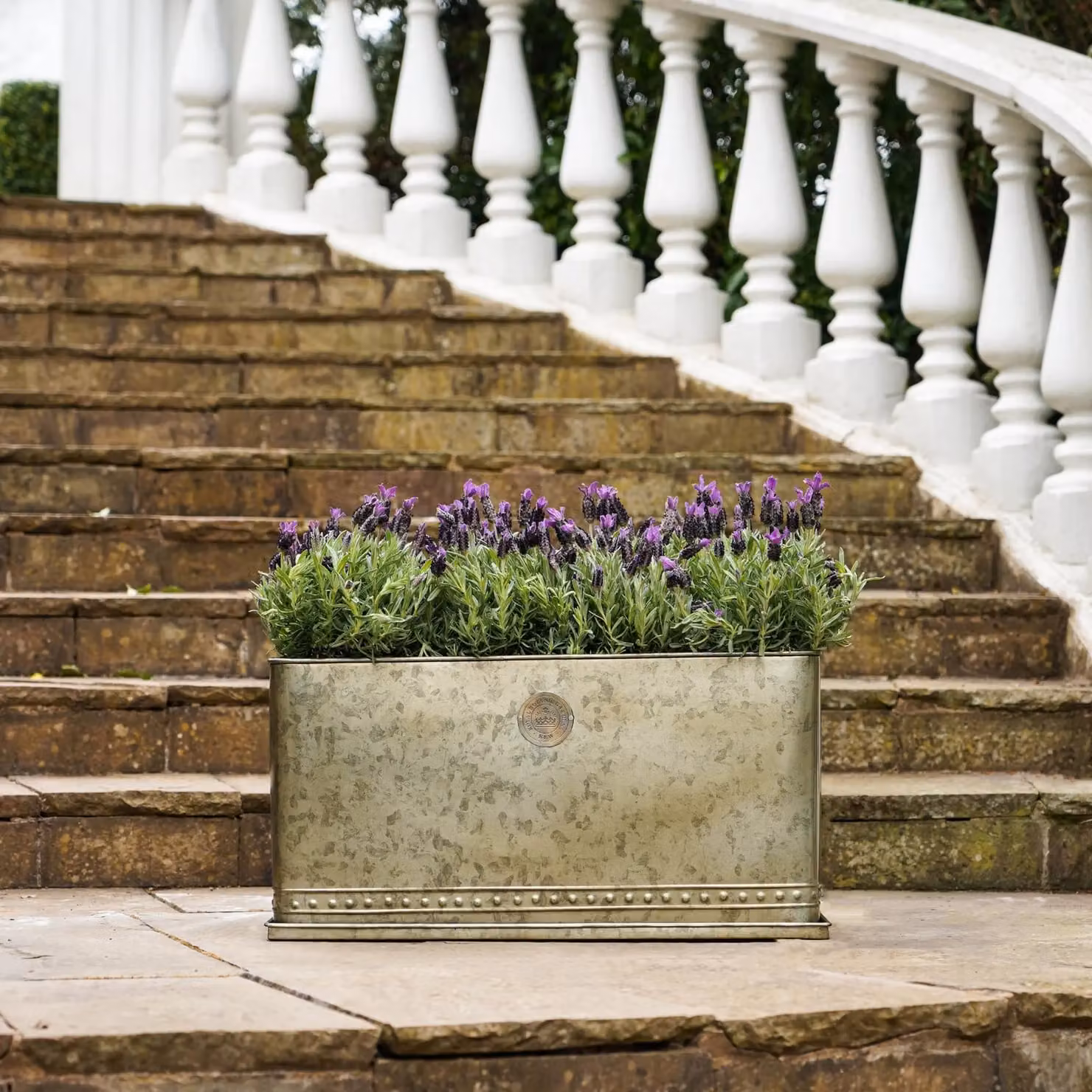 Royal Botanic Gardens Kew Regency Outdoor Planter in Aged Brass, 62 cm – 3