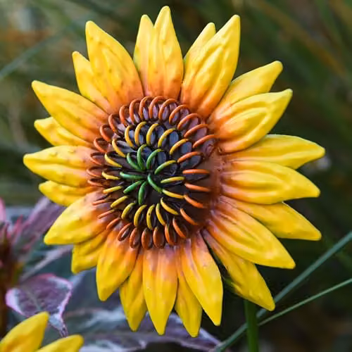 Garden Gear Metal Sunflower Flower Stakes, Multi-coloured Decorative Outdoor Ornaments, Set of 12 – 3