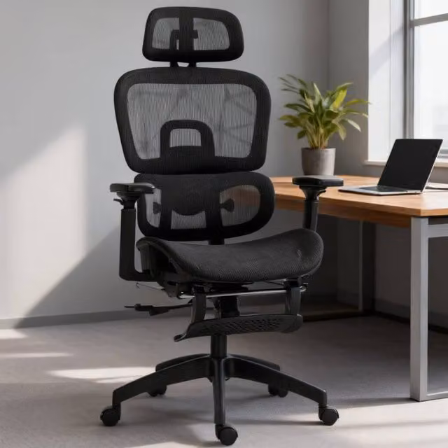 ERGOVEXA Ergonomic Multi-Adjustable Mesh Office Chair in Black with Headrest and Seat Depth Adjustment