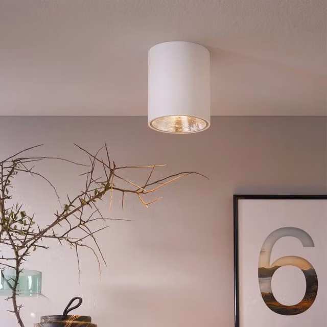 Eglo Polasso LED Ceiling Light, Modern Cylindrical Aluminium Design in White and Silver with Warm White Light