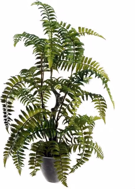 Green Artificial Boston Fern Tree in a Decorative Plastic Planter for Tabletop Display