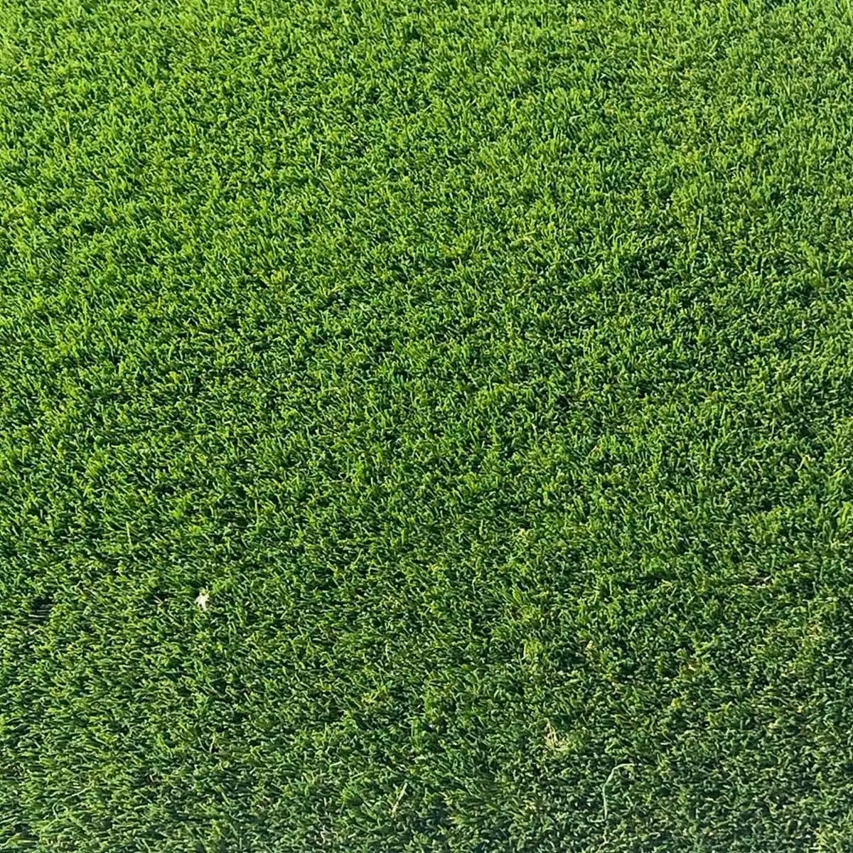 Artificial Grass GB Premiership 40mm Artificial Grass in Green, W: 400 cm, D: 500 cm – 6
